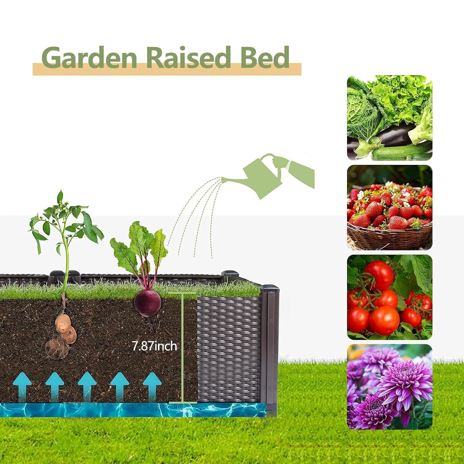 Selbstbewässerndes Hochbeet –  – Outdoor Daybed Furniture Bewertung und Preis